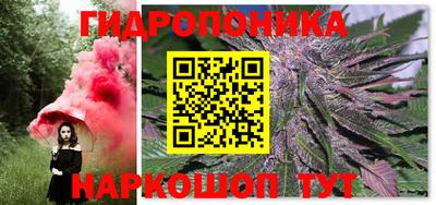 шишки Пенза